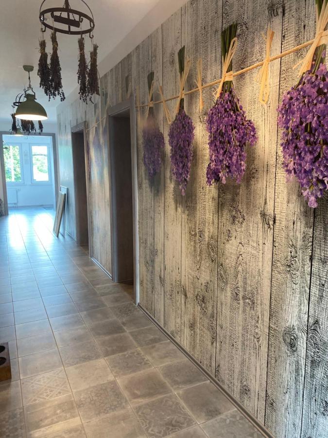La Maison Pritzwalk - Bett & Bike エクステリア 写真